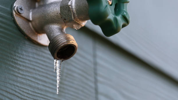Sprinkler Systems in Quinebaug, CT